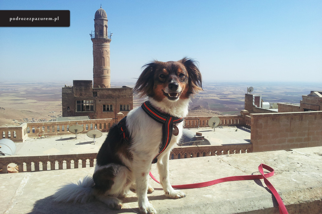 Mardin 015